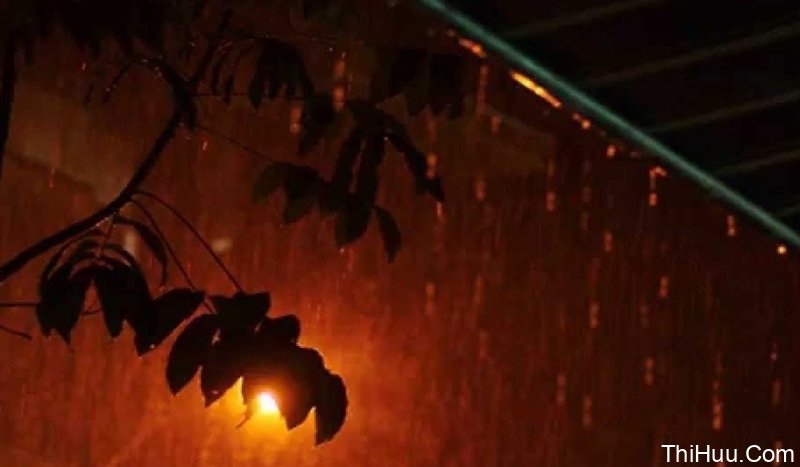 Thơ đêm mưa buồn sẽ khiến bạn cảm thấy gợi nhớ về những kỷ niệm buồn trong cuộc đời. Hãy để những hình ảnh của thơ đêm mưa buồn lắng đọng trong tâm hồn bạn.